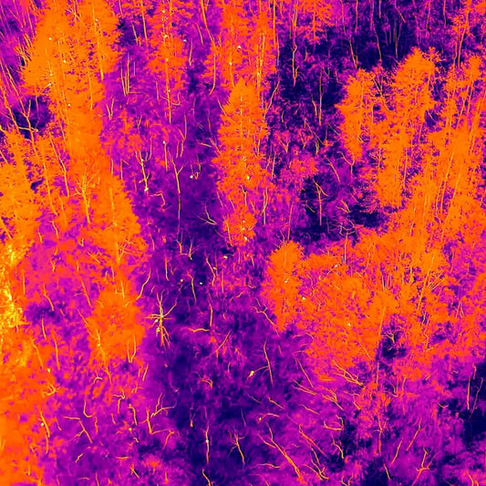 Termografía aplicada con drones